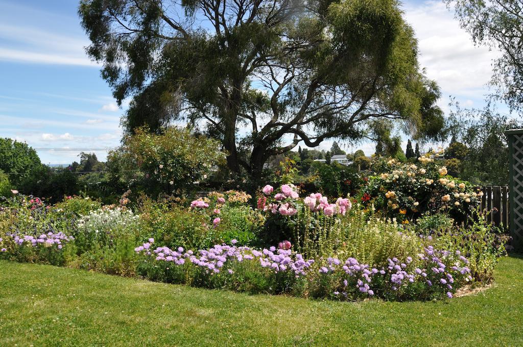 Harbinger House Bed & Breakfast Tauranga Eksteriør bilde